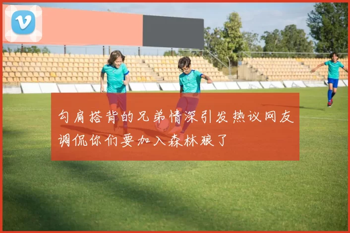 勾肩搭背的兄弟情深引发热议网友调侃你们要加入森林狼了